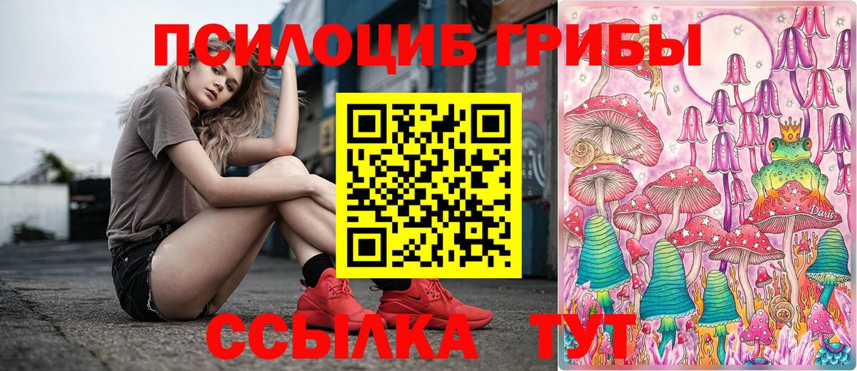 где продают наркотики  Вход с VPN  Королёв  Псилоцибиновые грибы Cubensis  Псилоцибиновые грибы мухоморы 