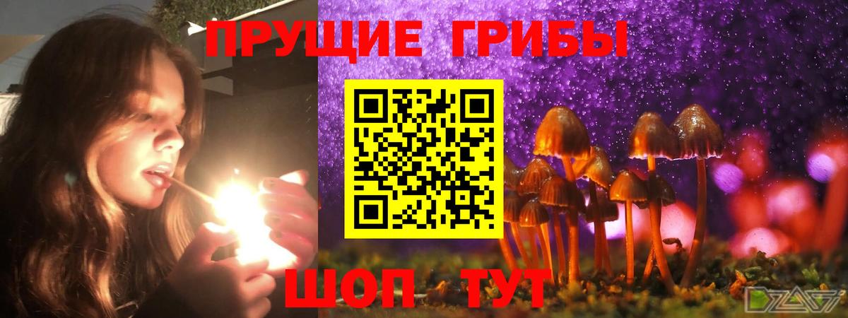 Псилоцибиновые грибы ЛСД Королёв
